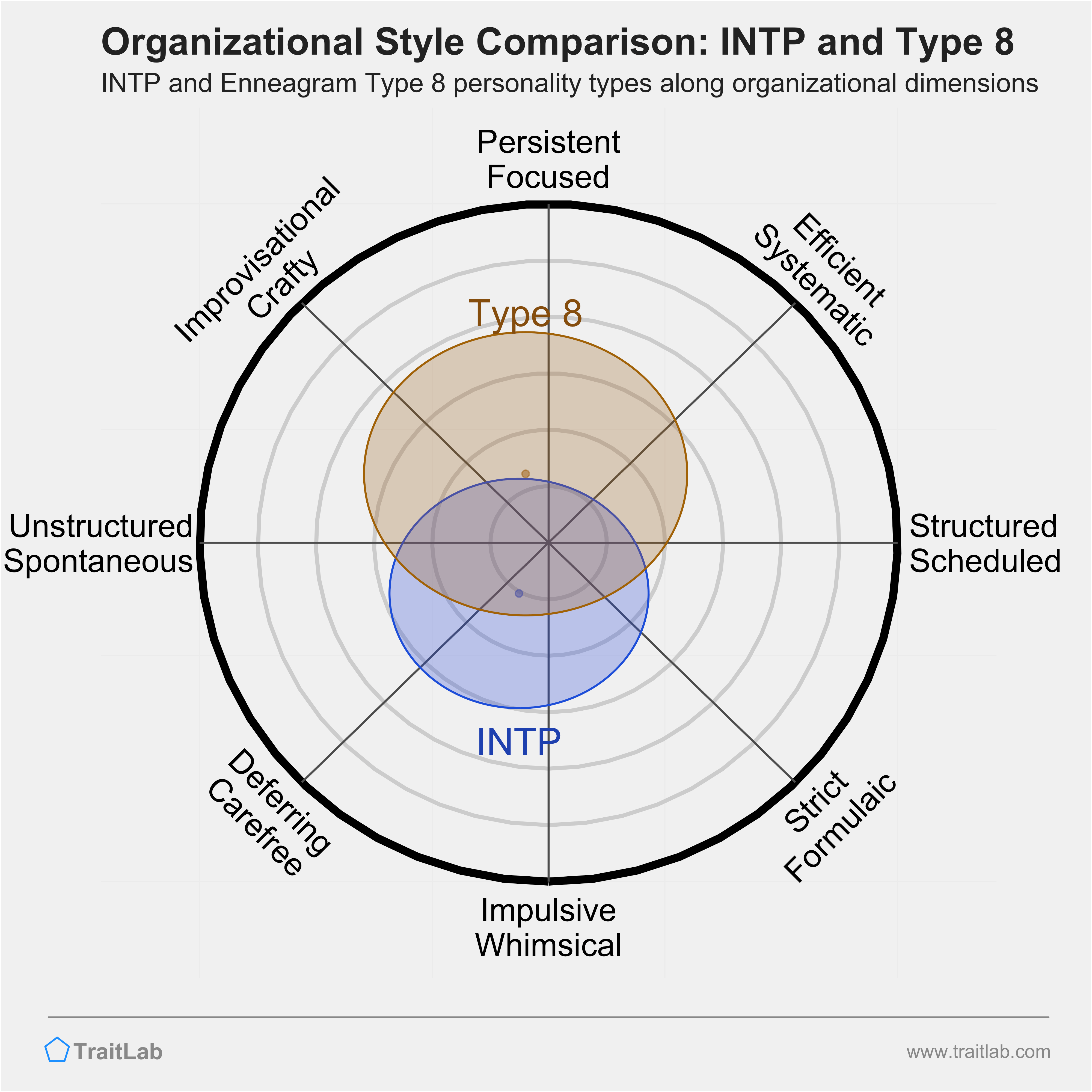 INTP and Type 8 comparison across organizational dimensions