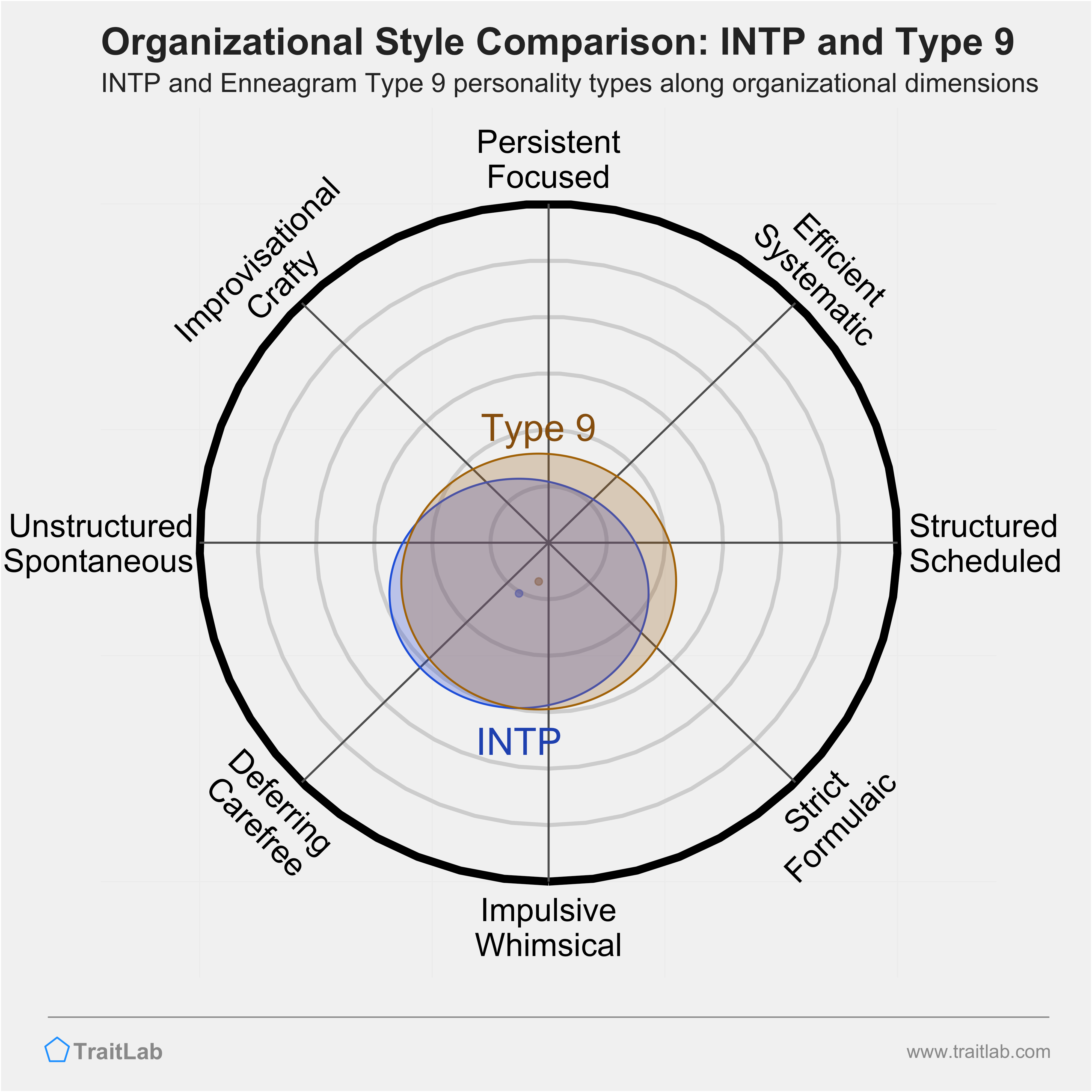 INTP and Type 9 comparison across organizational dimensions