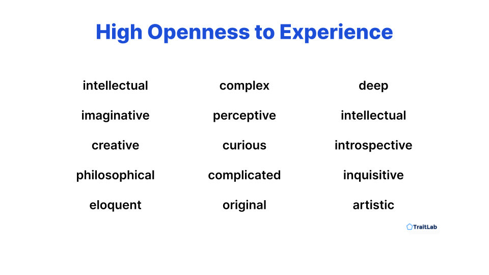 list of words describing high openness to experience or a highly open personality