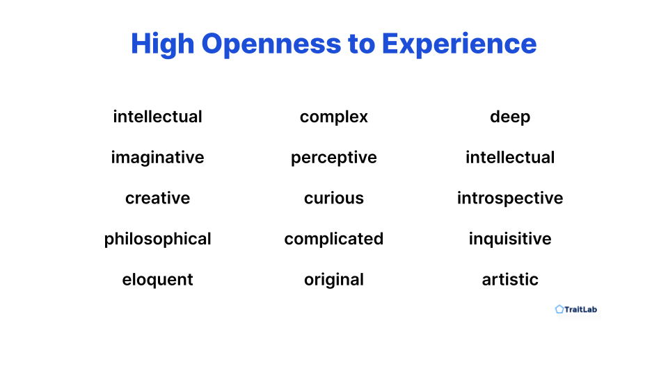 Openness To Experience Meaning In Tamil